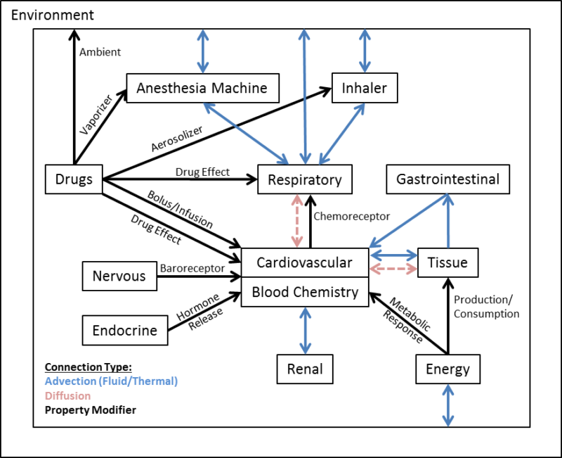 Introducing the Pulse Physiology Engine: Open-Source Computational ...