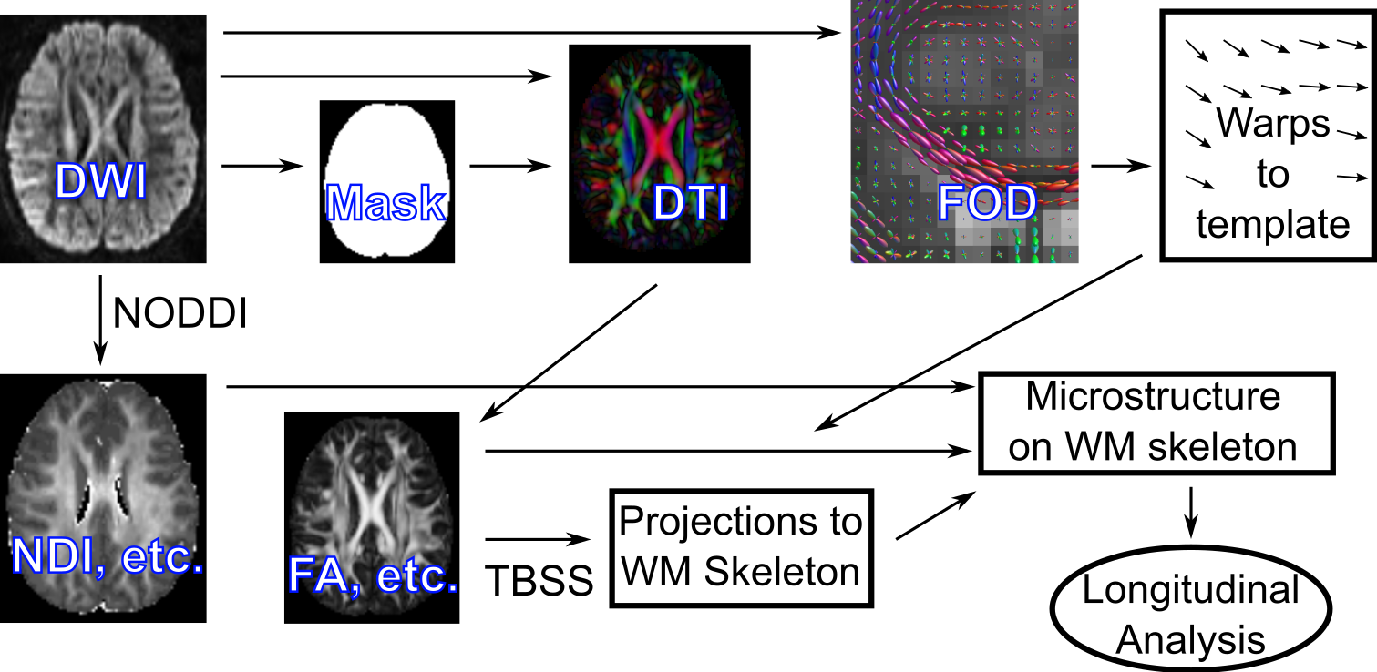 Processing pipeline for exploratory analysis of white matter microstructure.