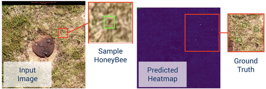 Figure 6. Results on honey bee detection. The system is capable of detecting very small and difficult-to-see objects by aggregating information from multiple frames. The predicted heatmap shows clear responses over each ground-truth object.