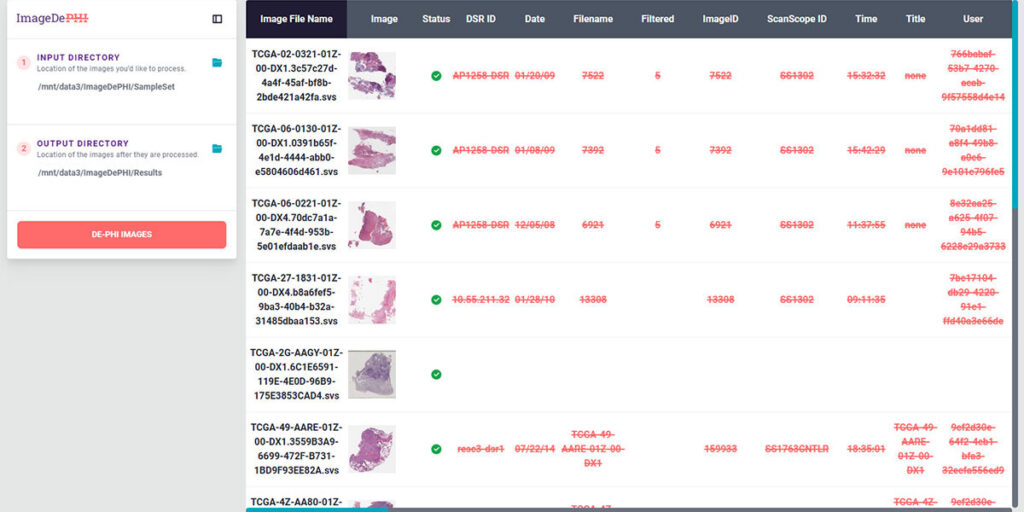 ImageDePHI summarizes what metadata will be kept, deleted, or changed for each image. (Note: The data presented above is synthetic, and the slides contain mouse tissue samples.)