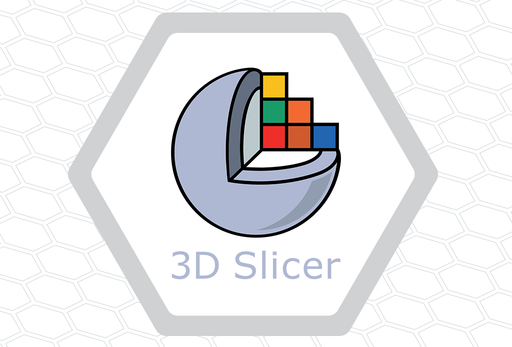 3D Slicer Logo