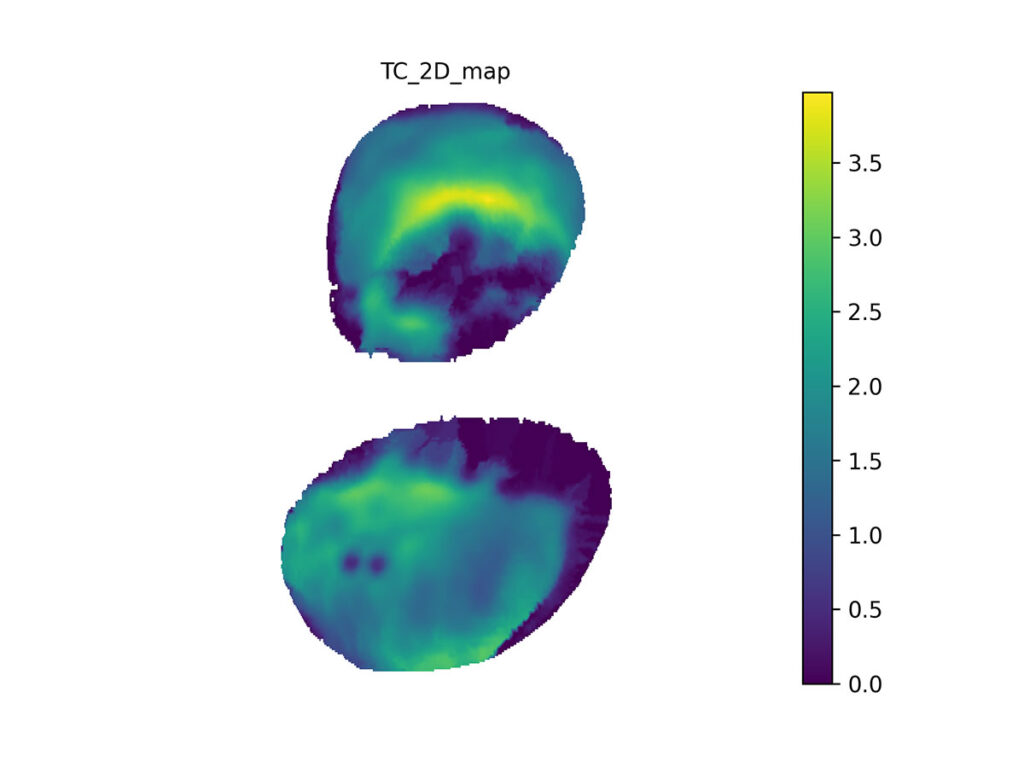 We also map the tibial cartilage from canonical mesh to 2D. Here, the thickest part is about 3.5 mm thick.